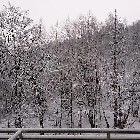 Apartament Bukowa Daire *